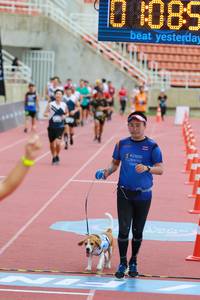 BIB: 
                            <button type="button" onclick="openModal(4598931)" class="btn btn-primary btn-sm float-right btn-popup" data-toggle="modal" data-target=".modal-high-quality">
                        <i class="fas fa-shopping-cart"></i> Add to Cart
                    </button>
                                            <button type="button" onclick="isThisMe(4598931, true)" class="btn btn-success btn-sm float-right btn-popup btn-isme hidden" data-toggle="tooltip" data-placement="bottom" title="นี่คือรูปของคุณใช่ไหม คลิกที่นี่เพื่อเอาเข้าอัลบั้ม">
                        <i class="fas fa-plus"></i> Add to album
                    </button>
                    <button type="button" onclick="isThisMe(4598931, false)" class="btn btn-warning btn-sm float-right btn-popup btn-isnotme hidden">
                        <i class="fas fa-ban"></i> Remove from album
                    </button>